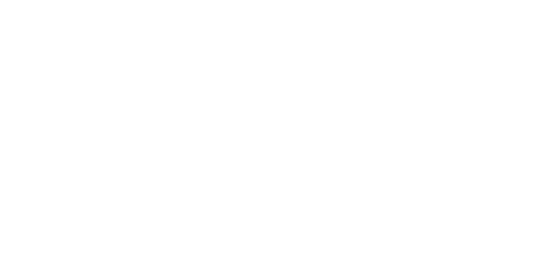 Virginia Passenger Rail Authority (VPRA)