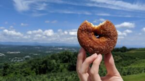 Carter Mountain Orchard