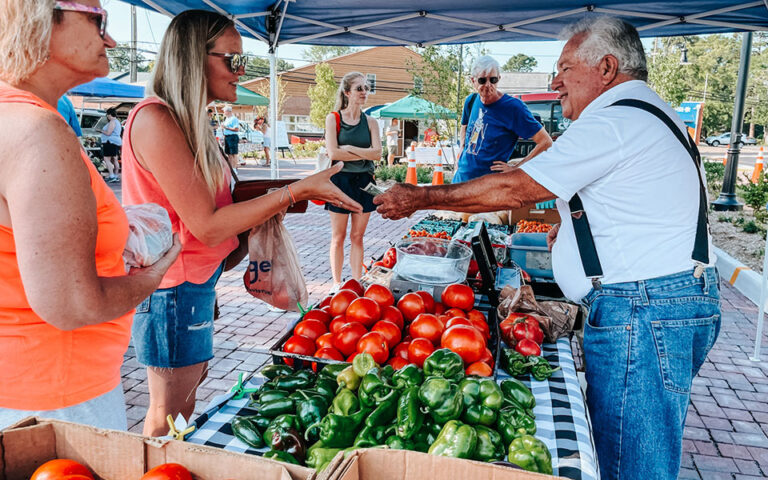 A farmer's market scene featuring a vendor handing produce to a customer. There are various vegetables, including ripe tomatoes and bell peppers, displayed on tables. Other shoppers are present in the background.