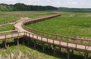 Neabsco Creek Boardwalk